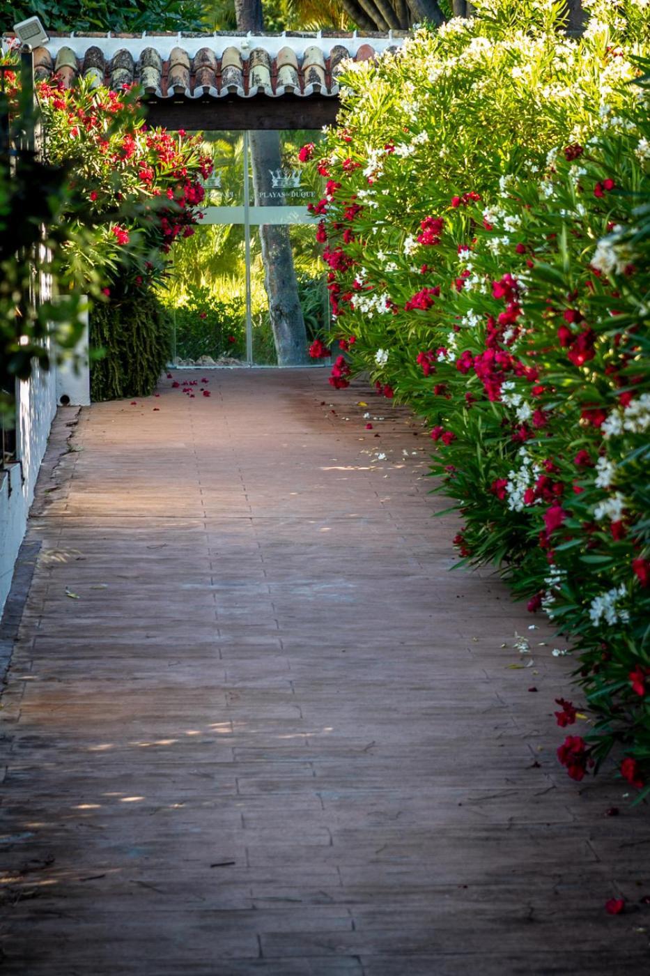 Banus - Lily Playas Del Duque Banus